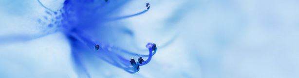 UDS Dépasser votre timidité UDS Dépasser votre timidité